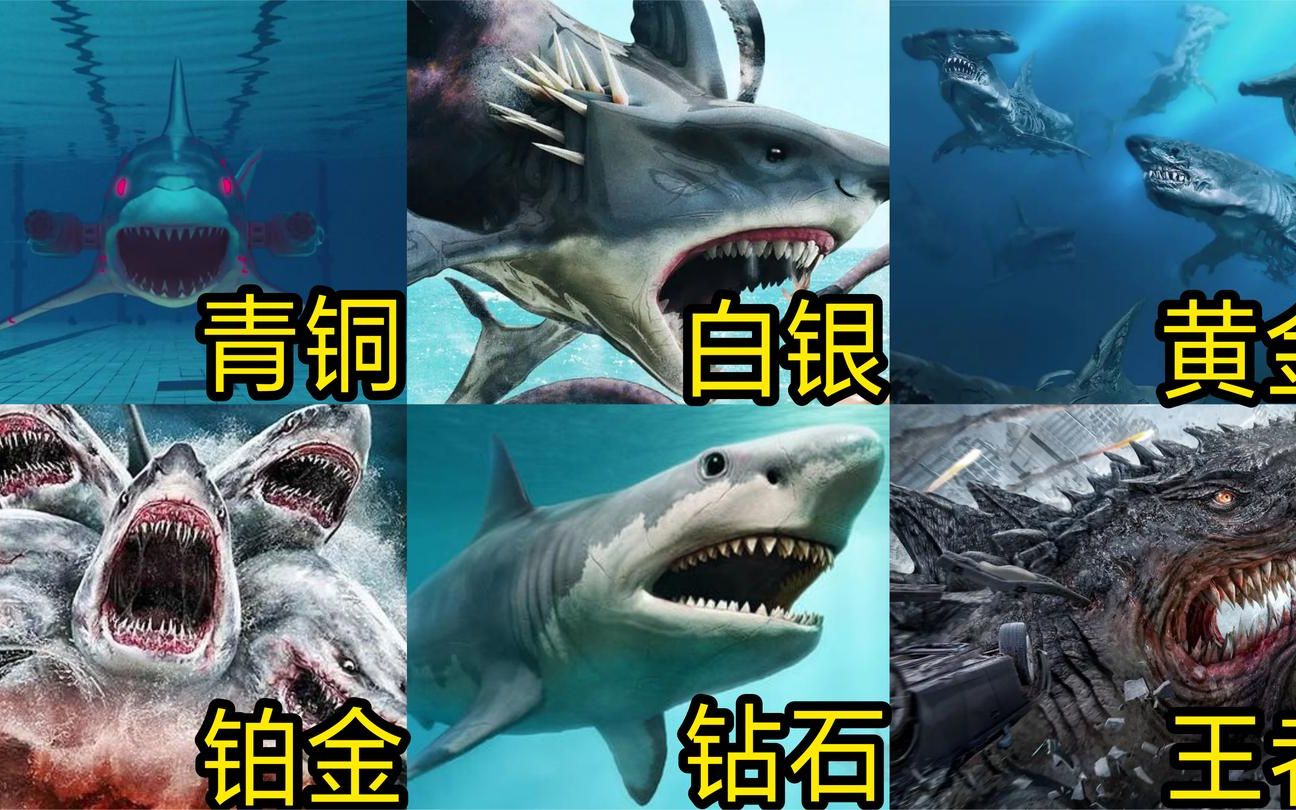 所有的变异鲨鱼图片