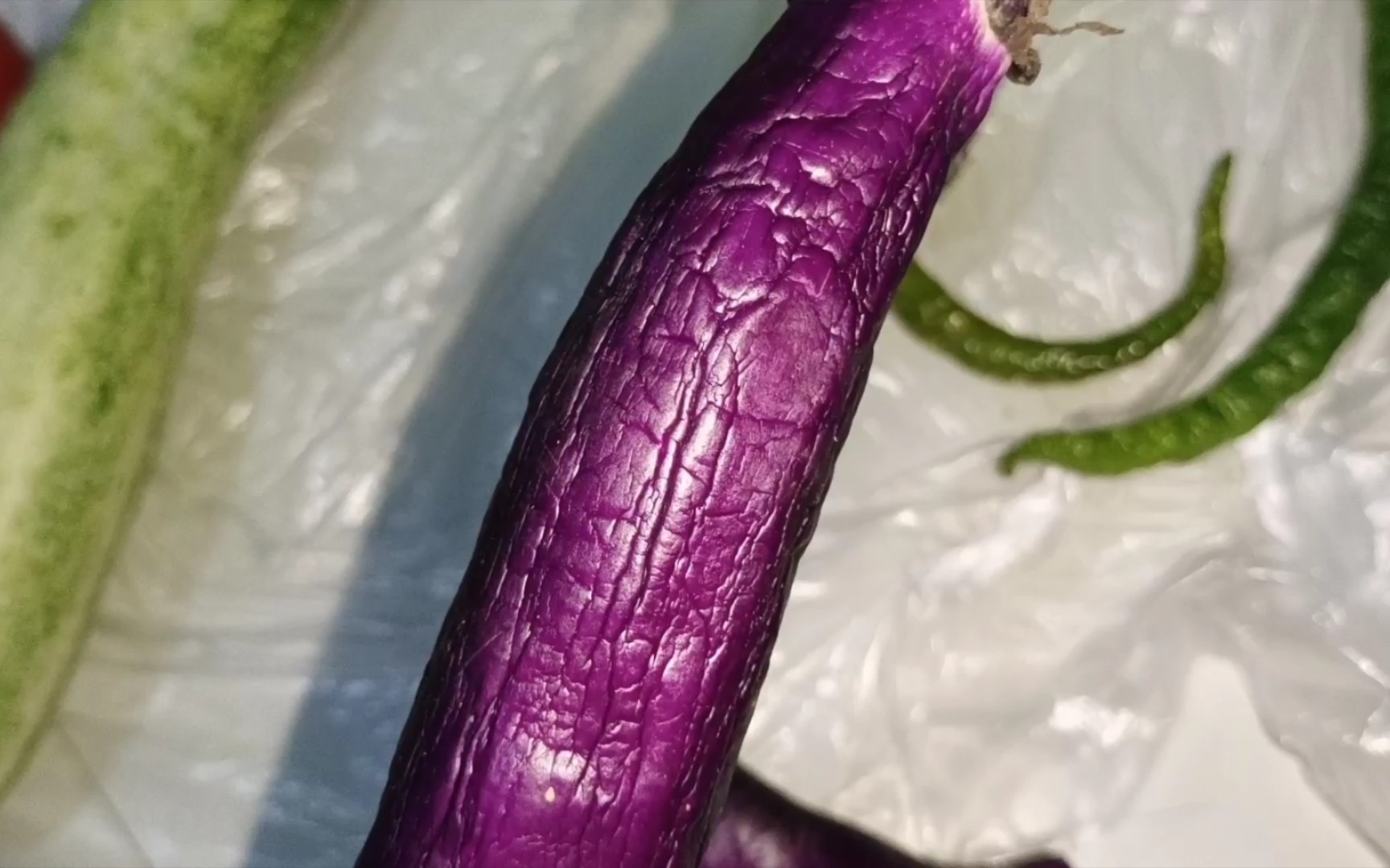 端午节从家里带回来的茄子,都蔫成这样了,茄子里面会坏吗?