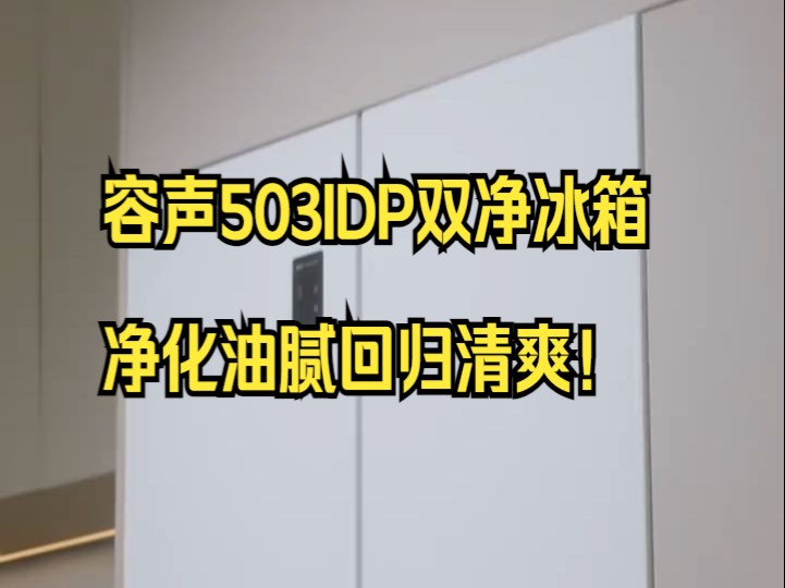 健康营养不掉线,随心搭配无负担,容声503IDP双净冰箱,净化油腻回归清爽!哔哩哔哩bilibili