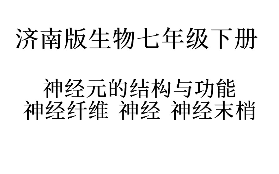 神经元的结构与功能,神经纤维,神经,神经末梢的识别.哔哩哔哩bilibili