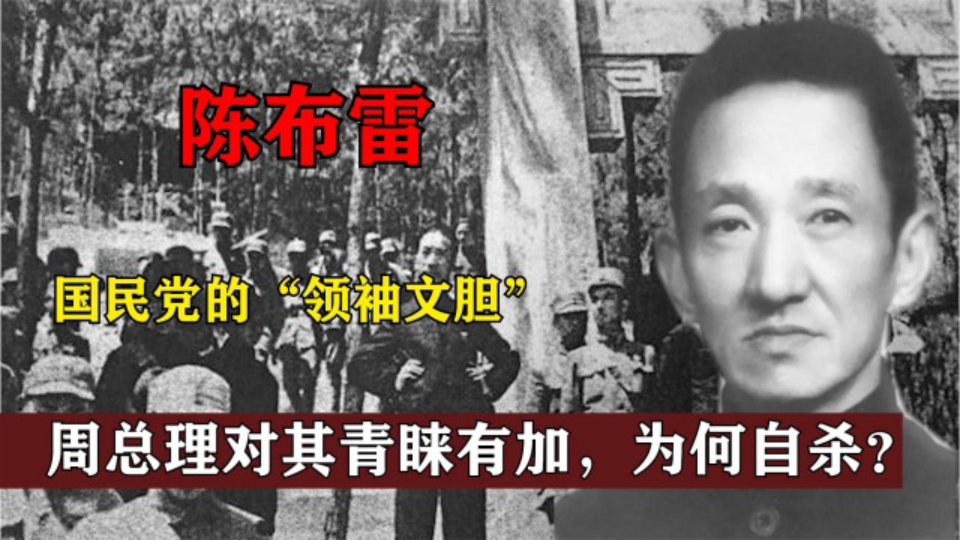 国民党的“领袖文胆”,身为蒋介石的秘书,巅峰时刻却吞药自杀,到底是为什么呢?哔哩哔哩bilibili