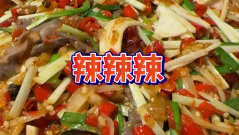 结束大西北之旅 成都我们来啦