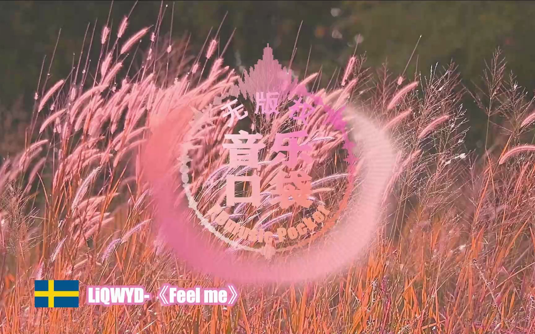 [图]LiQWYD-《Feel me》（无版权音乐）积极阳光轻快节奏BGM