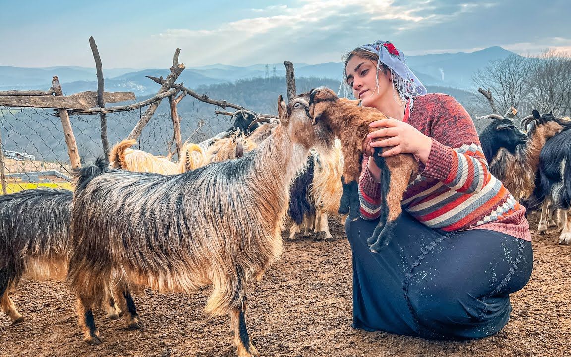 伊朗的游牧生活|伊朗的日常乡村生活|伊朗的游牧生活