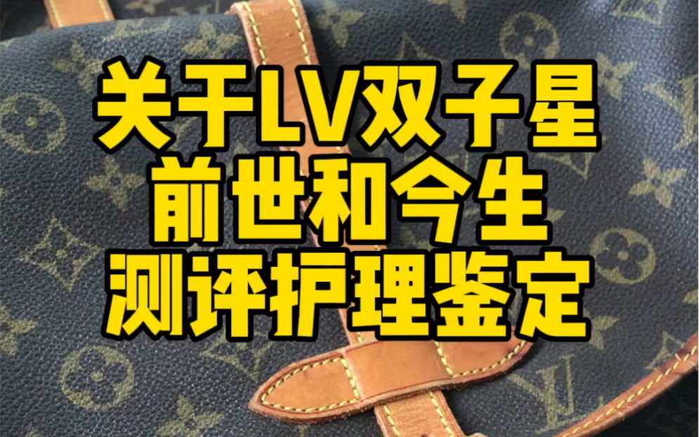 LV双子星的前世与今生哔哩哔哩bilibili