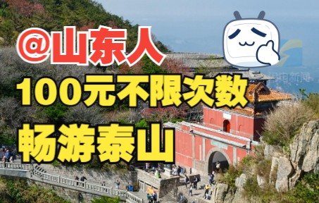 山东省内居民重磅福利来了!2023年100元不限次数畅游泰山哔哩哔哩bilibili