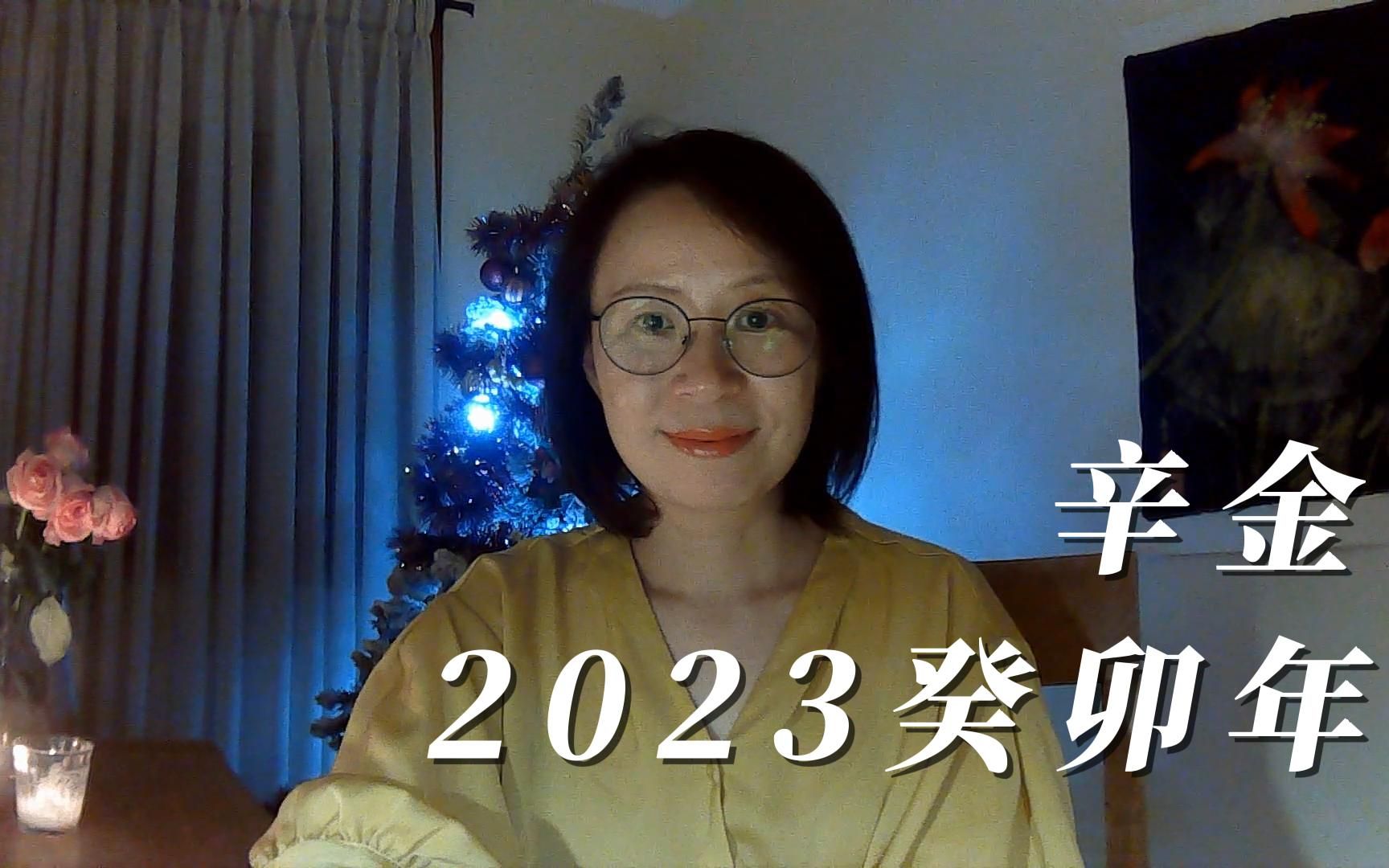 2023癸卯年 辛金哔哩哔哩bilibili