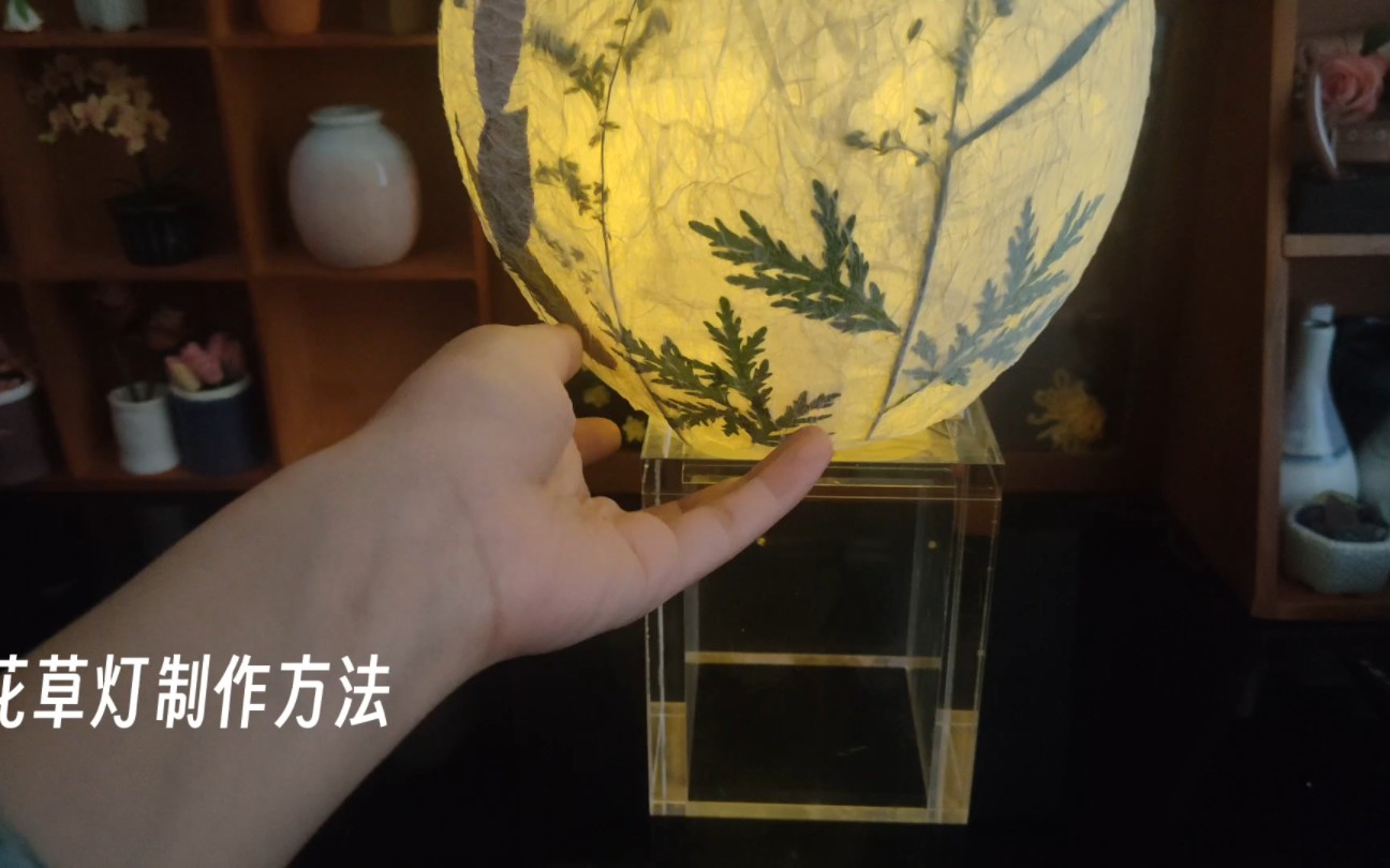 【手工】花草正美,做一盏花草灯吧~哔哩哔哩bilibili