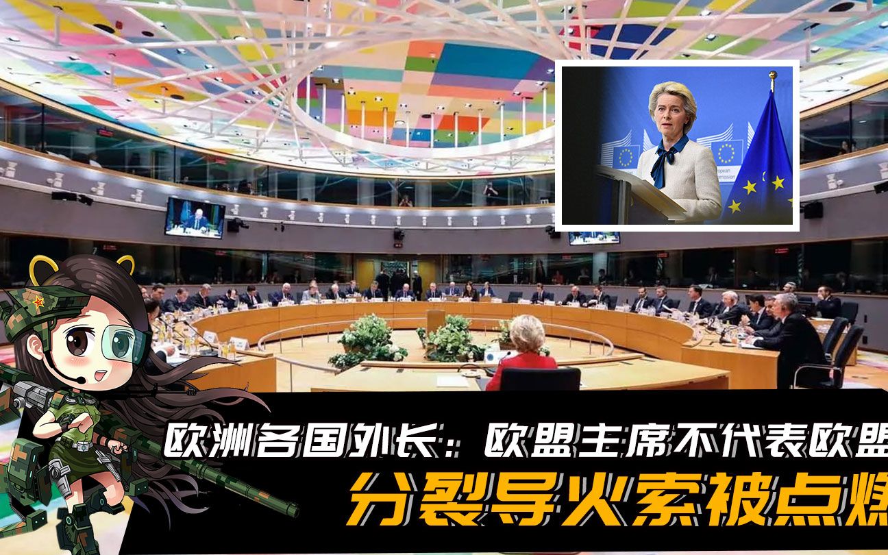 欧洲各加盟国外长:欧盟主席不代表欧盟!分裂导火索被点燃哔哩哔哩bilibili