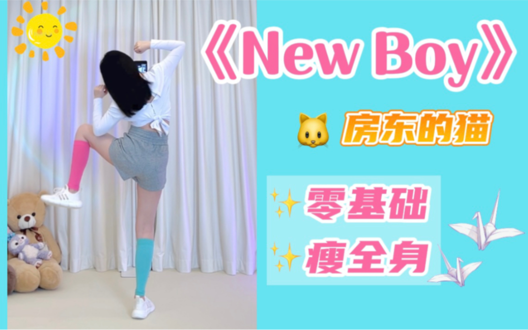 【竖屏版】入门燃脂舞|《New boy》暴汗瘦全身!一遍会大体重友好~减脂入门尊巴 减肥操 有氧运动 零基础 健身舞蹈 瘦身塑形 Zumba哔哩哔哩bilibili