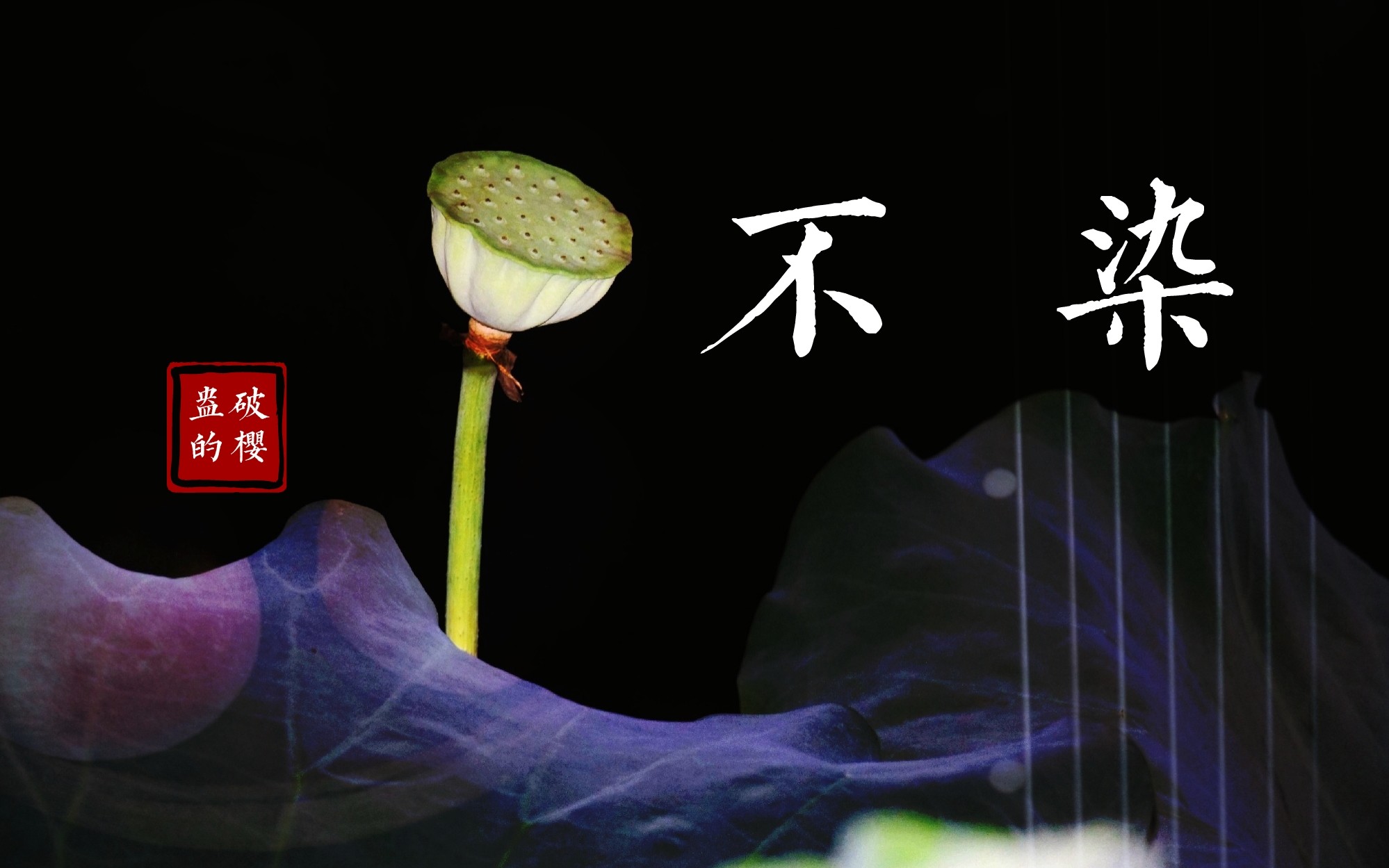 【纯空镜】【民国】不染|一壶清酒 一身尘灰