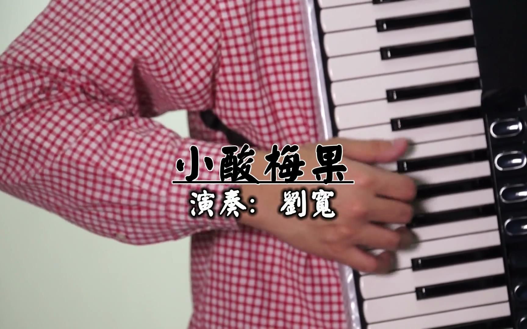 【手风琴版】《小酸梅果》