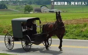 下载视频: 美国边缘民族：出门用马车，拒绝使用家电和汽车