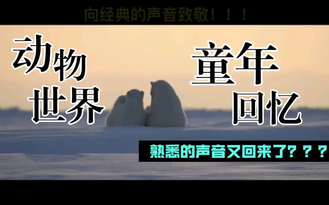 声魂配音工作室的个人空间 哔哩哔哩 Bilibili