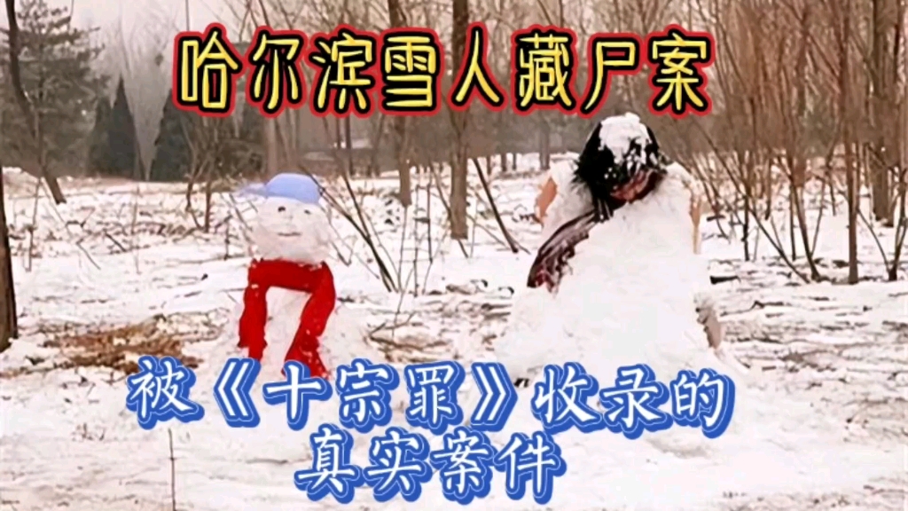 黑龙江肢体雪人案图片