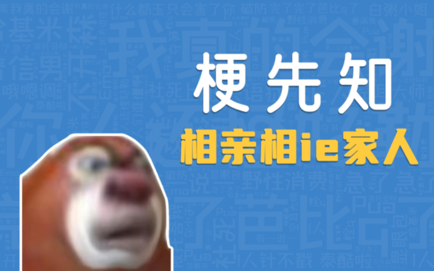 无论i人e人都是相亲相ie家人 B站