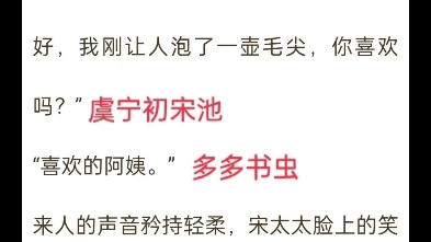 热门(今日推荐)小说《虞宁初宋池》又名《宋池虞宁初》哔哩哔哩bilibili