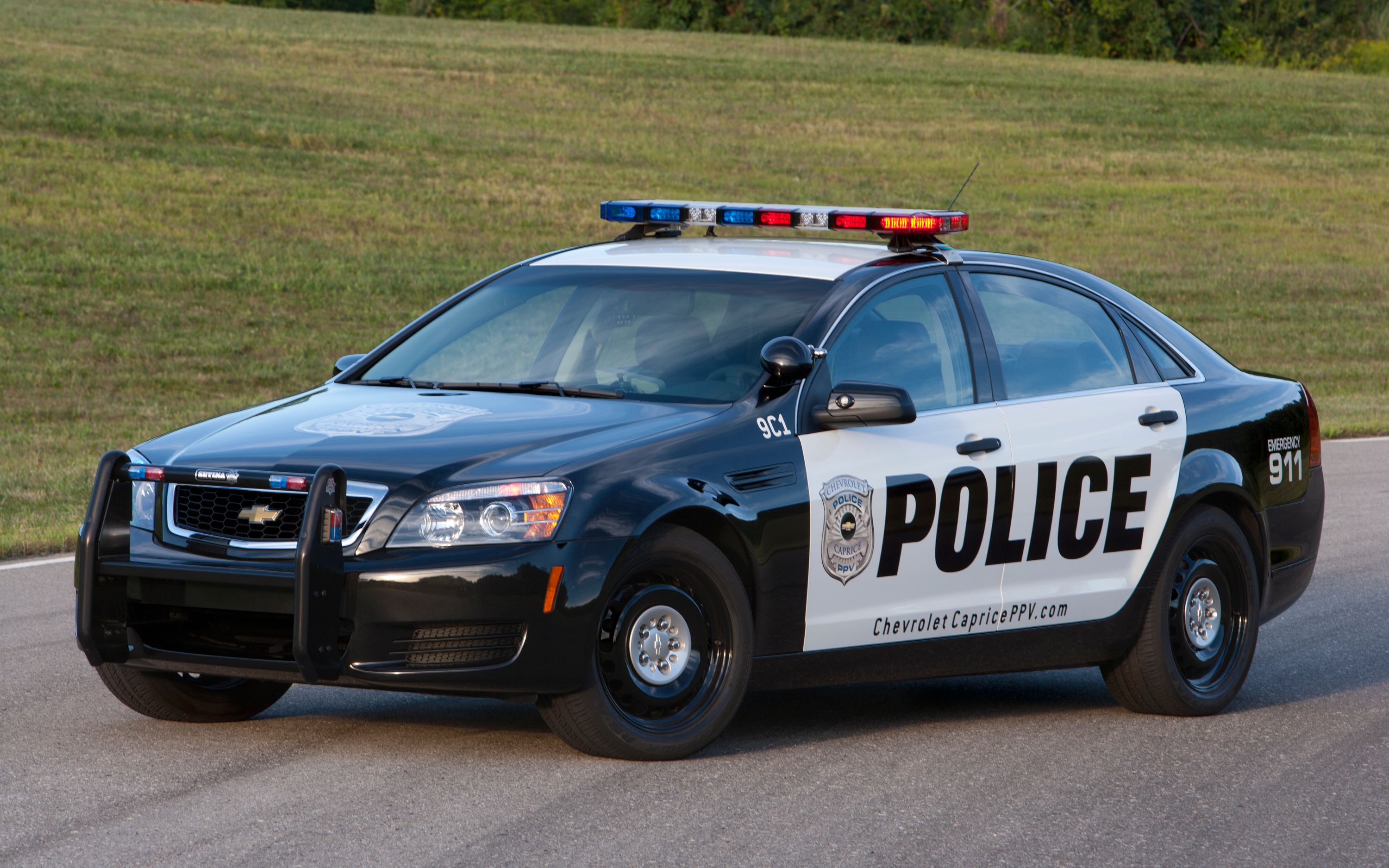 【洛圣都百科】雪佛 流星