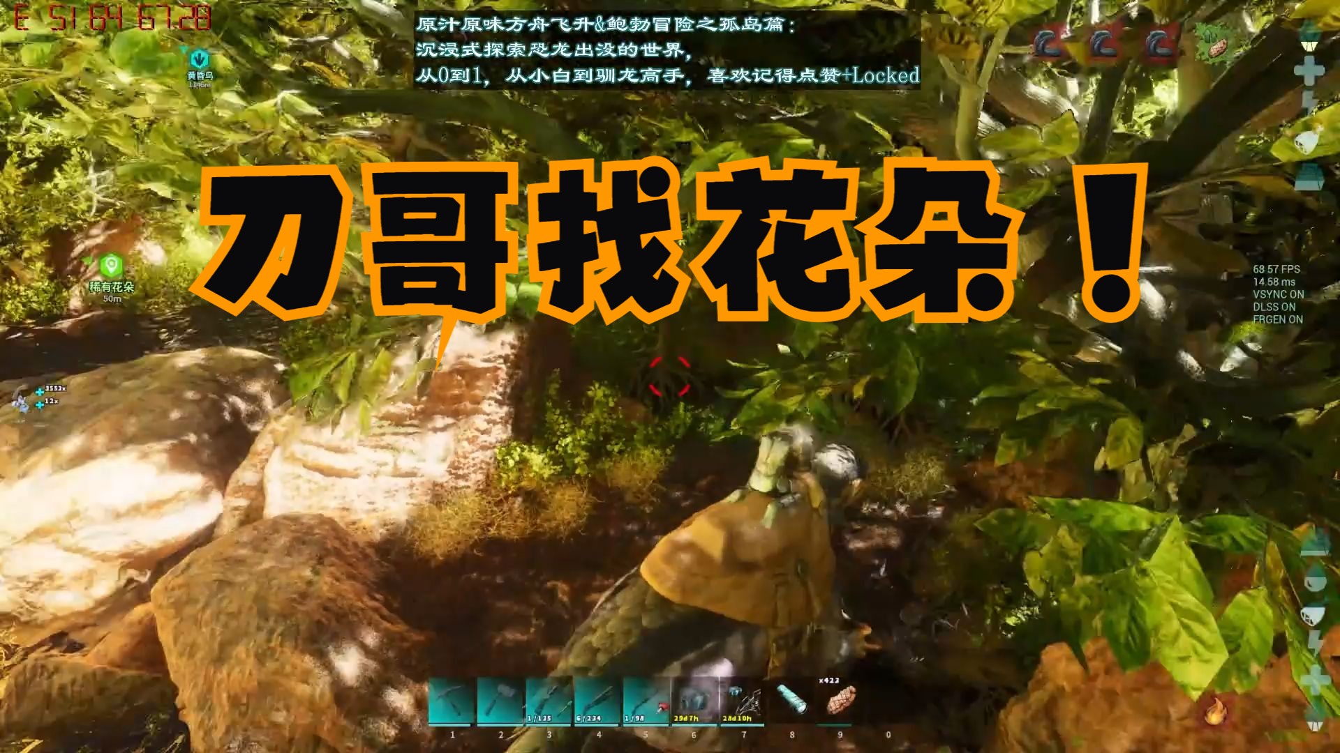 方舟飞升