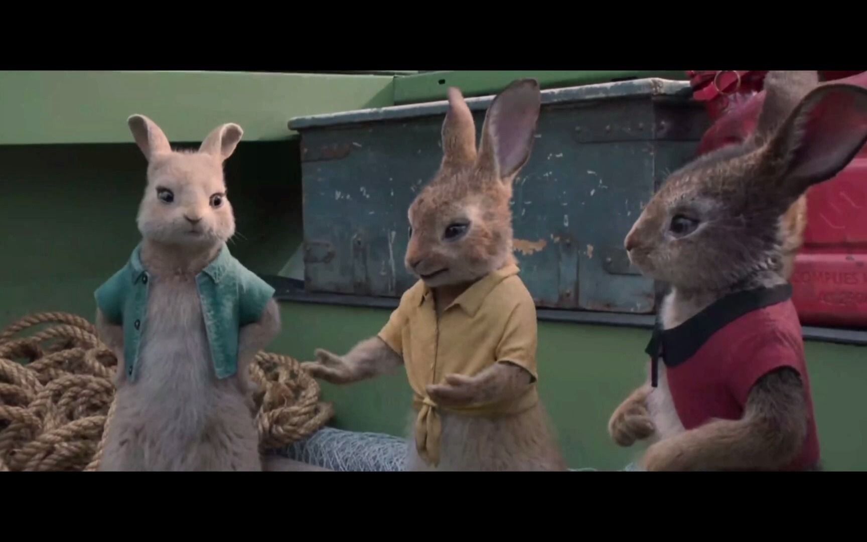 彼得兔东北话配音