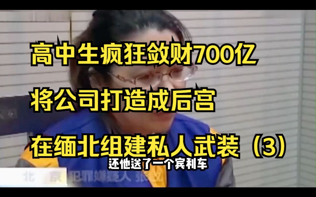 高中生疯狂敛财700亿,把公司打造成后宫,在缅北组建私人武装(3)哔哩哔哩bilibili