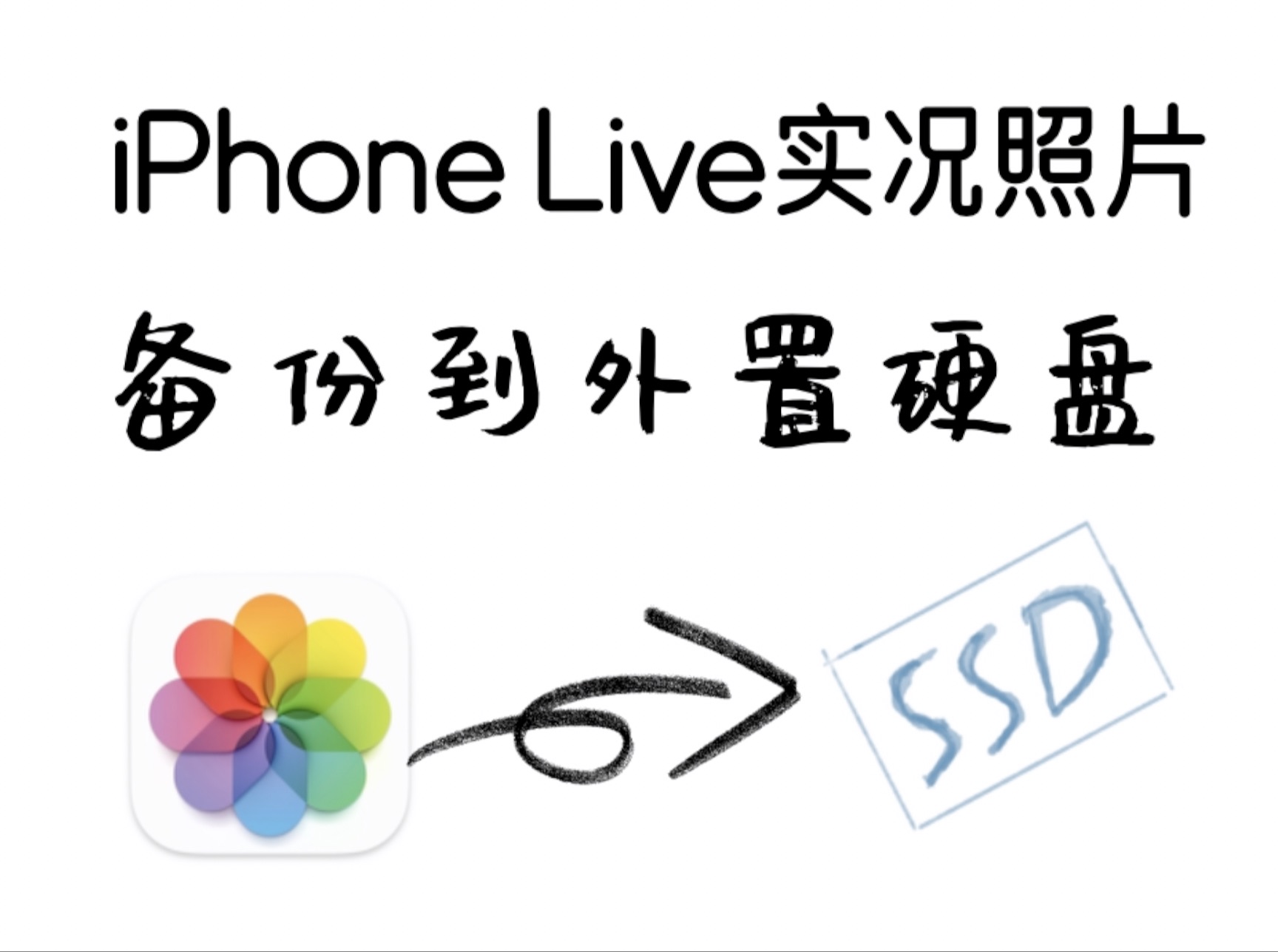 详细分享 iphone live照片备份到外置硬盘