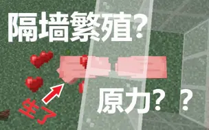 Download Video: 这波..隔墙打牛？建议改成：原力繁殖