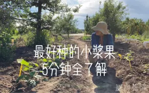 Download Video: 树莓、黑加仑、红加仑、鹅莓，有条件建议都种