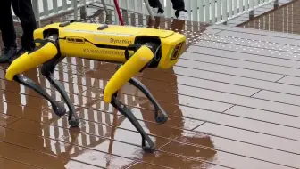 【搬】跳摔了