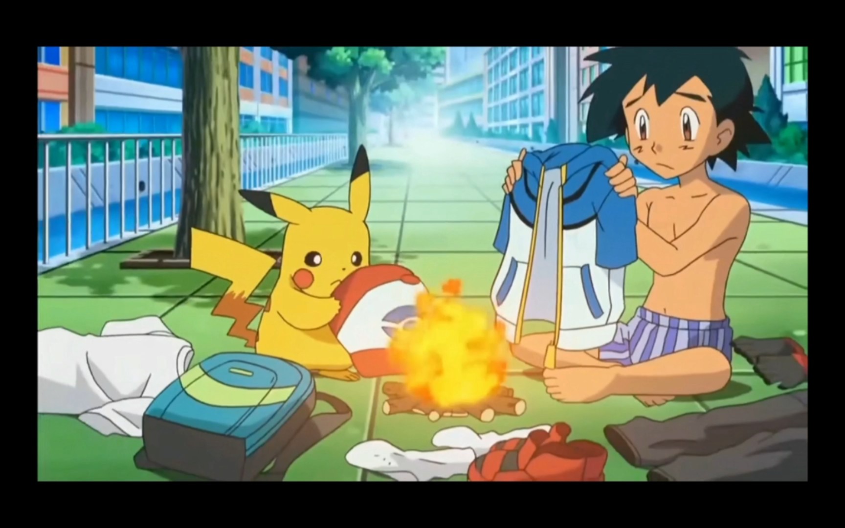 精灵宝可梦 白露要去参加钓鱼比赛 小智他们也要去