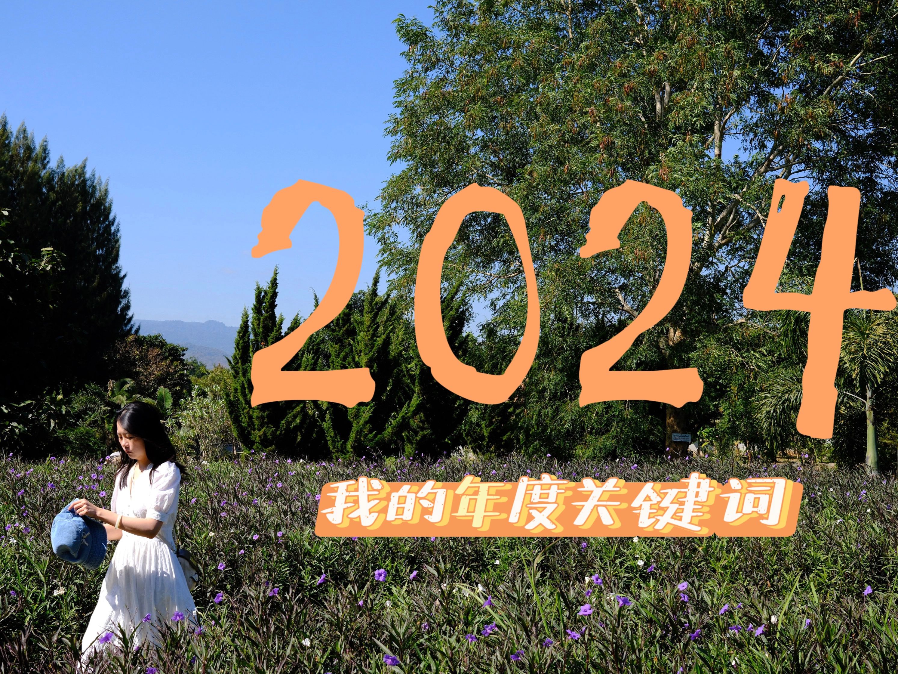 2024我的年度关键词 | 山高路远 看世界也找自己哔哩哔哩bilibili