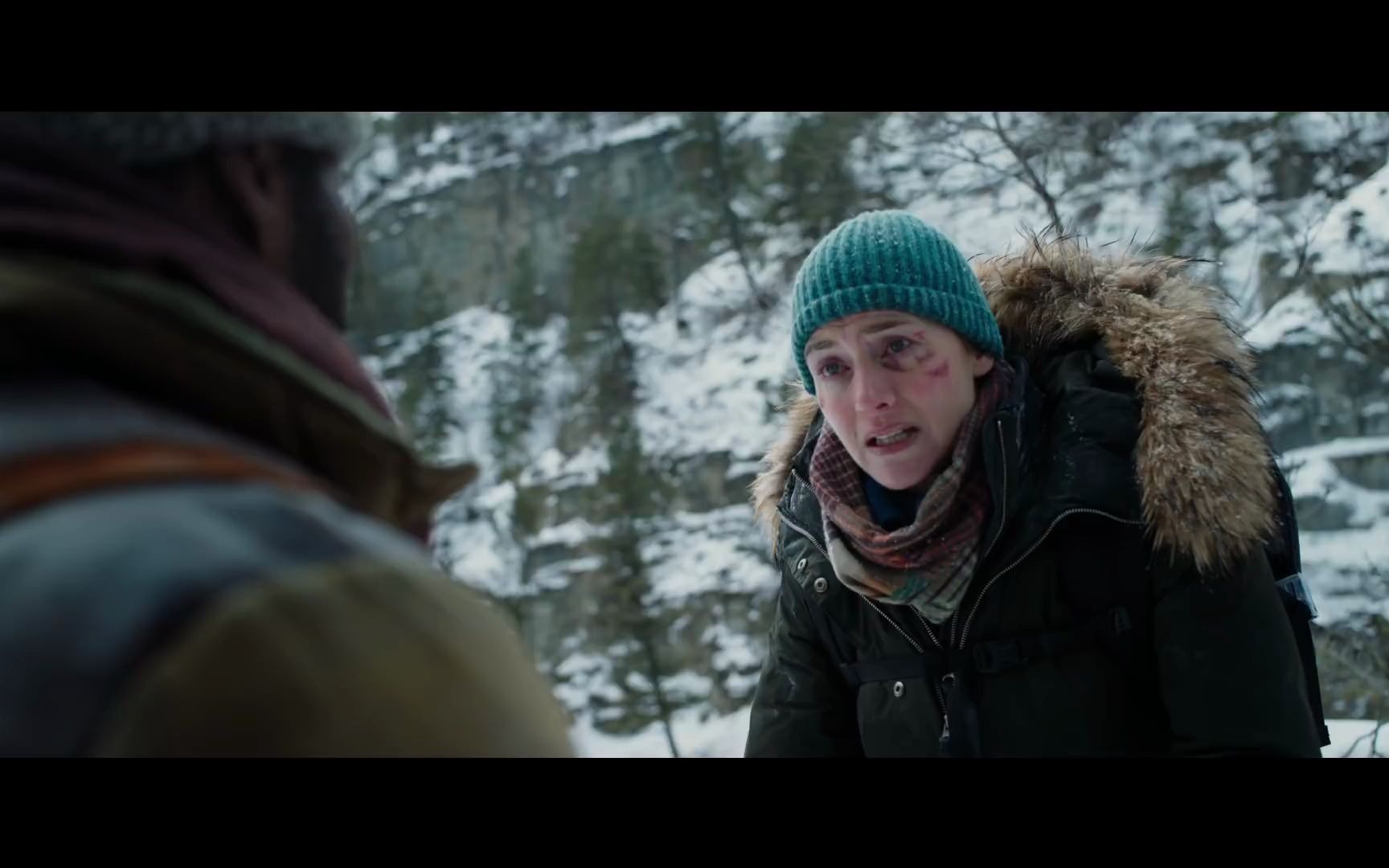 【arri 65】【panavision】【远山恋人】 the mountain between us