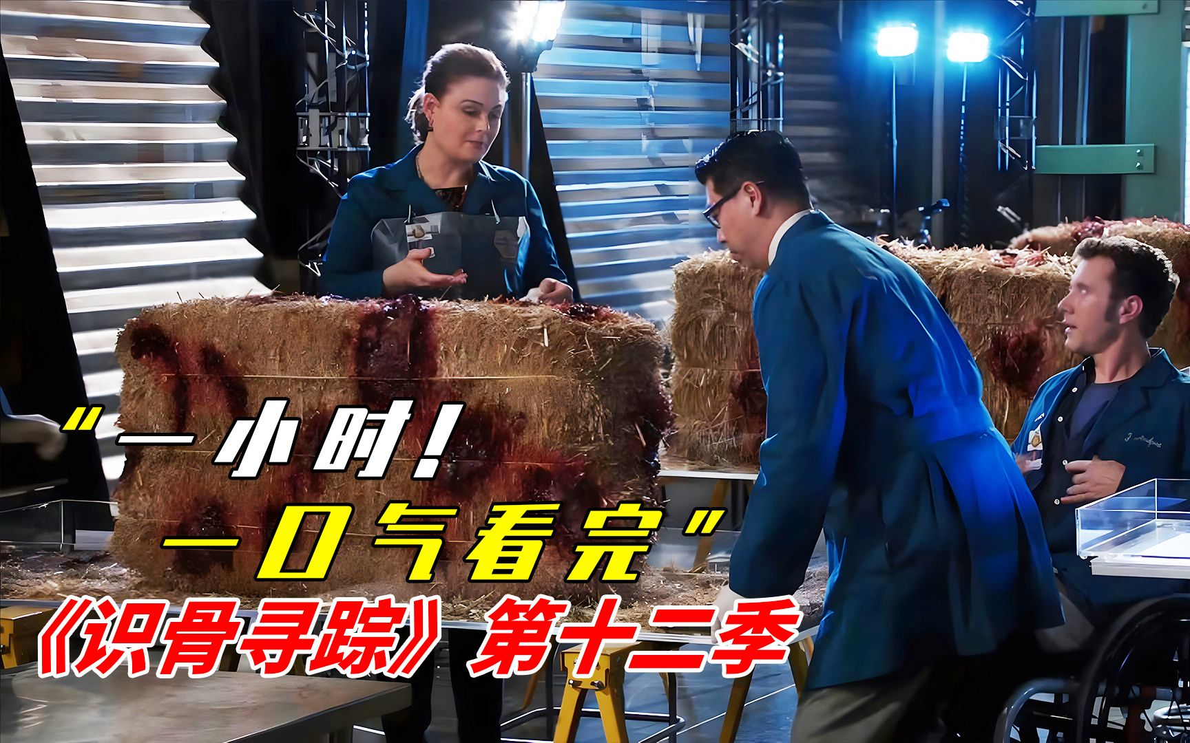 一口气看完经典美剧《识骨寻踪》第十二季