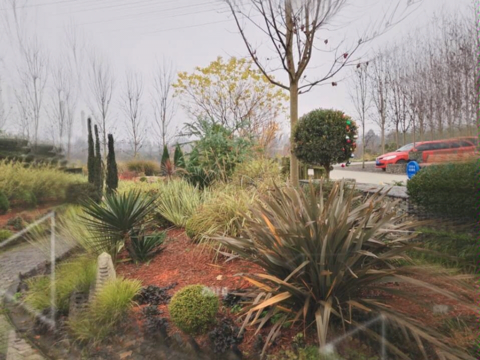 冬季的花境花园