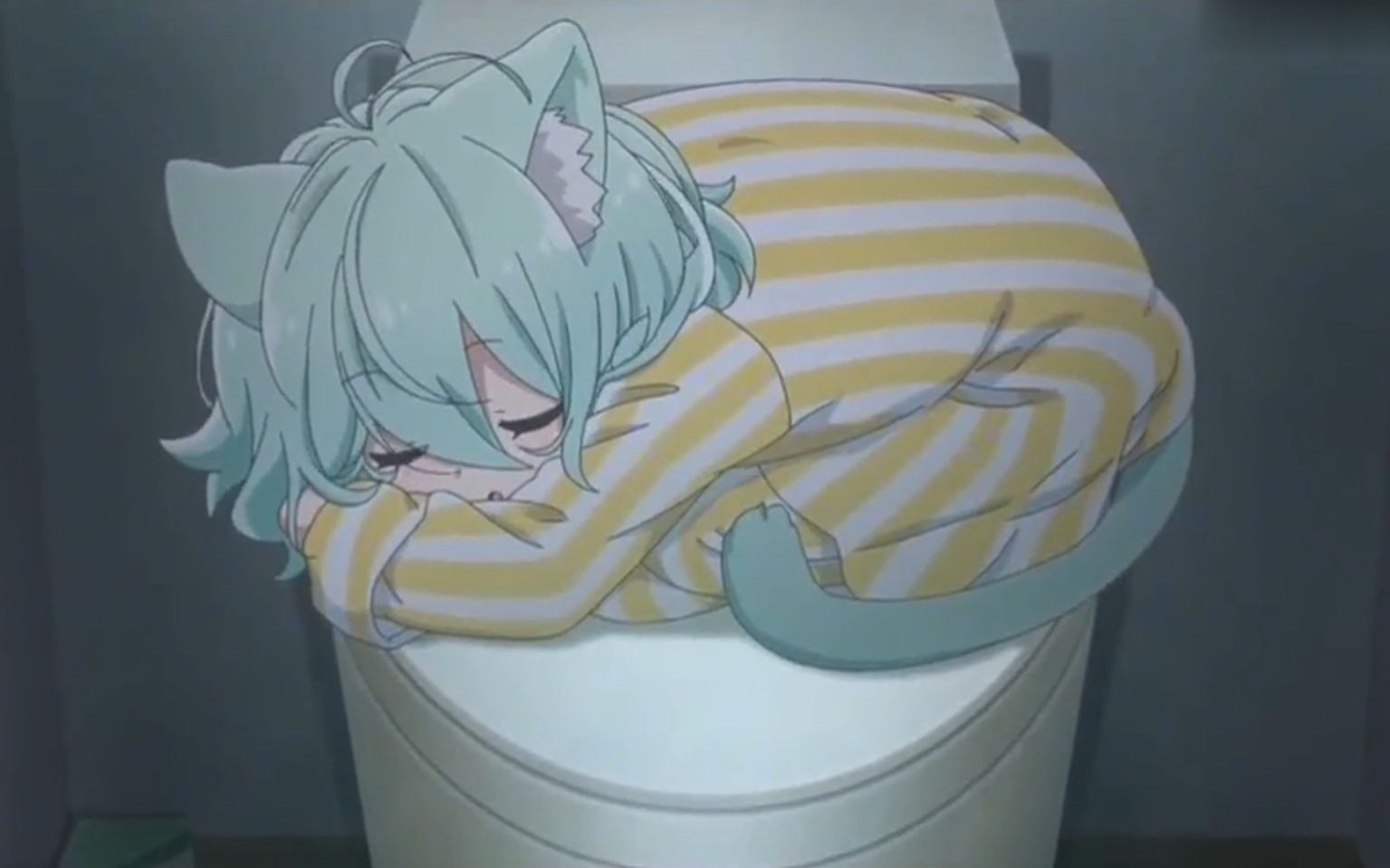 新来的小猫娘居然喜欢在马桶上睡觉