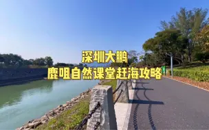 第3集:深圳大鹏鹿咀自然步道赶海攻略