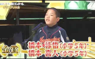 たんぽぽ 搜索结果 哔哩哔哩 Bilibili