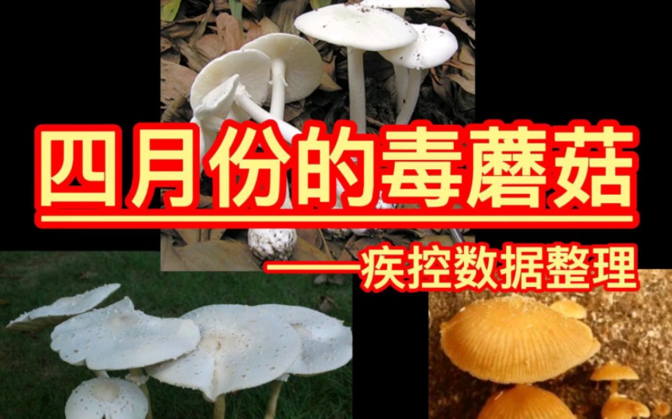 [图]四月毒菇-疾控中毒数据整理