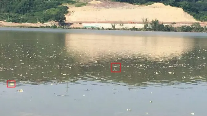 倍特威视漂浮物识别系统 智慧水利系统