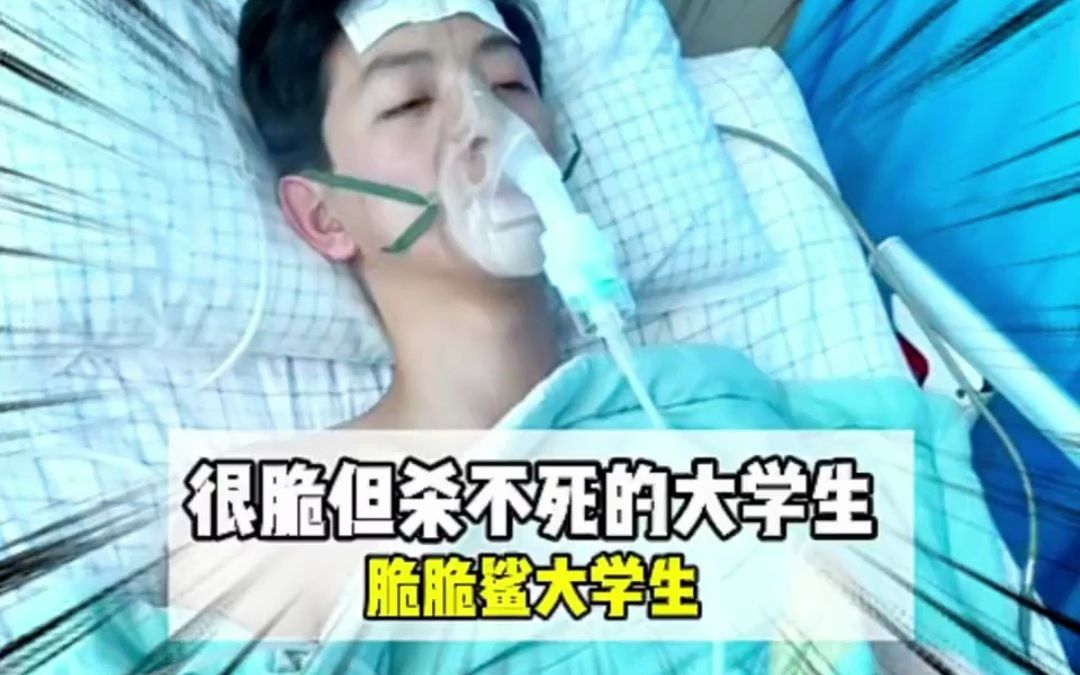 在的大学生虽然很脆,但生命力却很顽强!#脆脆鲨大学生