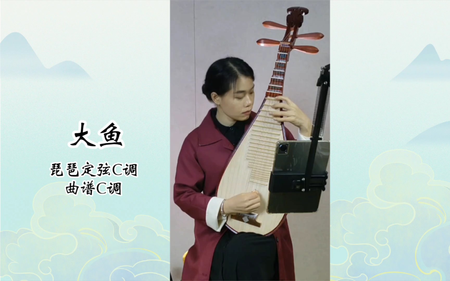 《大鱼》琵琶,专业师范院校,非专业琵琶手