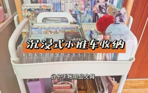 Descargar video: 中国女人沉浸式收纳，一小推车的谷子周边和手帐用品～