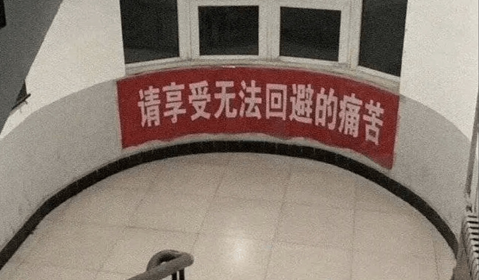 墙上的文学|"请享受无法回避的痛苦"