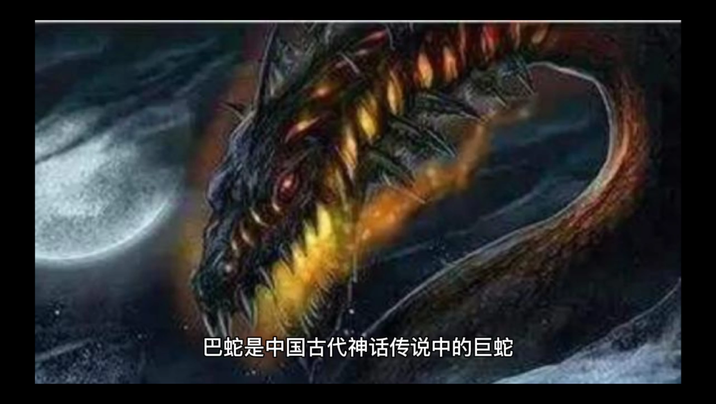 【山海经】【异兽篇】山海经异兽——巴蛇哔哩哔哩bilibili