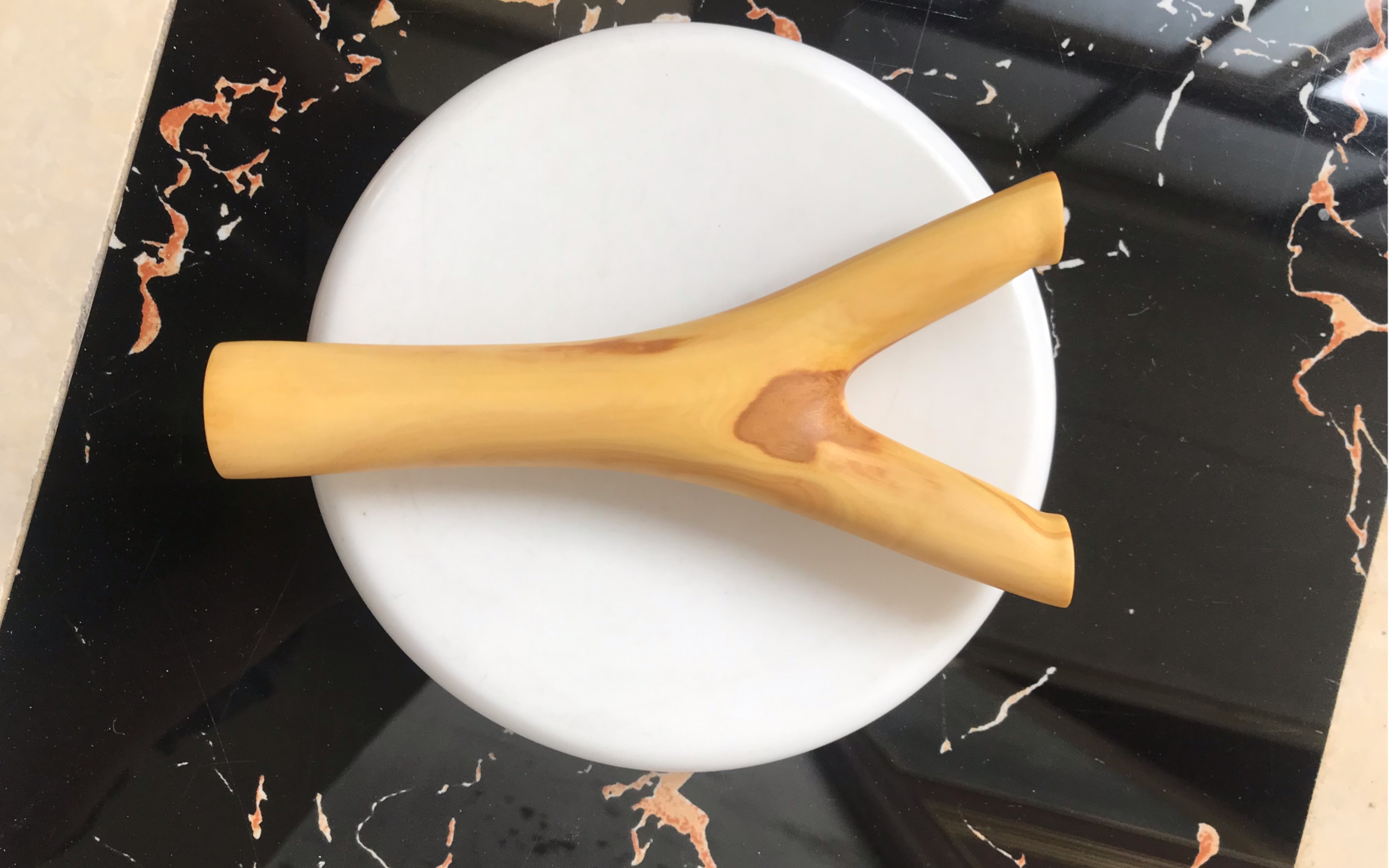 小叶黄杨树杈弹弓