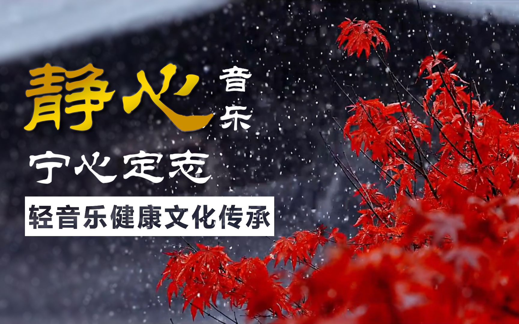 [图]让世界落泪的《平湖秋月、肯去承担爱、殇》，伤感动听，唯美心碎