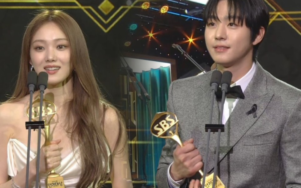 【安孝燮 李圣经】sbs演技大赏最优秀演技奖(季播剧部门)