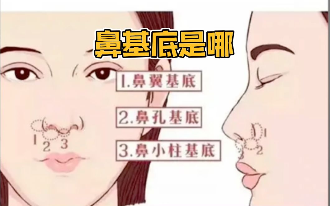 鼻基底是哪个位置哔哩哔哩bilibili