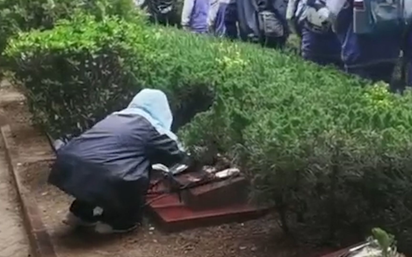 学校组织祭英烈 女学生雨中蹲下擦拭烈士墓碑 雨中的背影让人动容哔哩哔哩bilibili