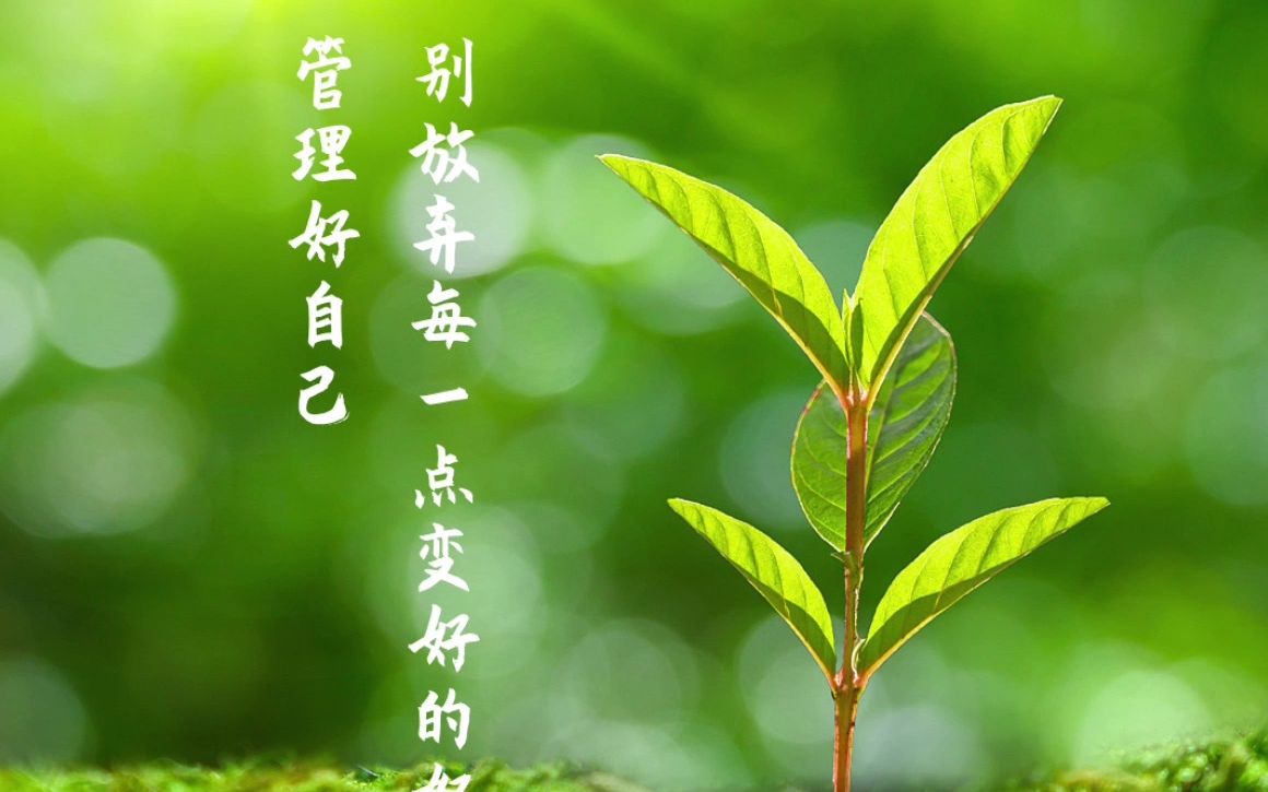 管理好自己,别放弃每一点变好的努力